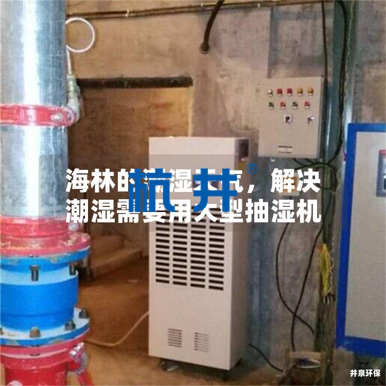 海林的潮濕天氣，解決潮濕需要用大型抽濕機(jī)